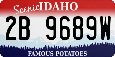 ID license plate 2B9689W