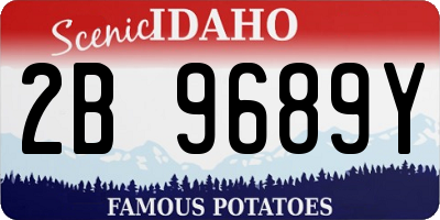 ID license plate 2B9689Y