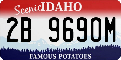 ID license plate 2B9690M