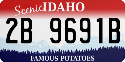 ID license plate 2B9691B