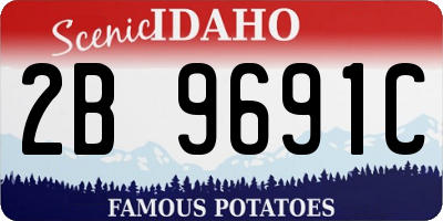 ID license plate 2B9691C