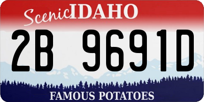 ID license plate 2B9691D