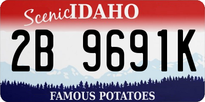 ID license plate 2B9691K