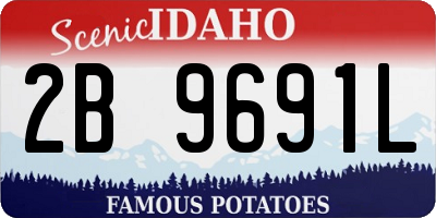 ID license plate 2B9691L