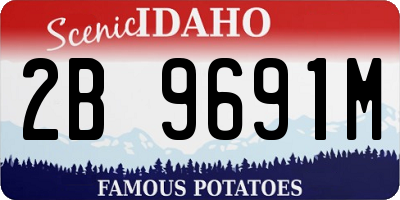 ID license plate 2B9691M
