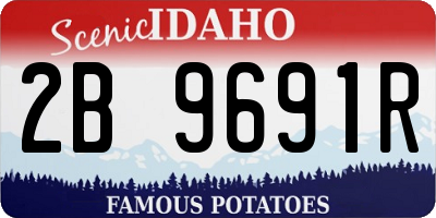 ID license plate 2B9691R
