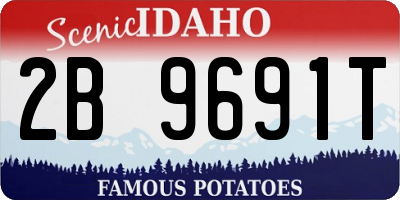 ID license plate 2B9691T