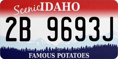 ID license plate 2B9693J