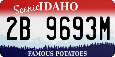 ID license plate 2B9693M