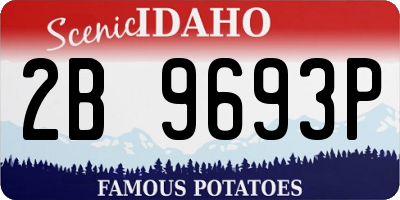 ID license plate 2B9693P