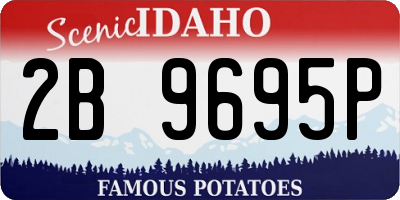 ID license plate 2B9695P