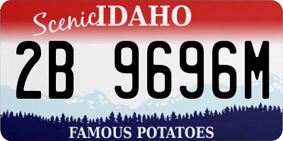 ID license plate 2B9696M