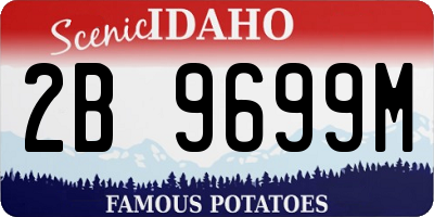 ID license plate 2B9699M