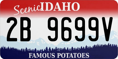 ID license plate 2B9699V