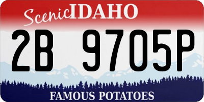 ID license plate 2B9705P
