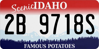 ID license plate 2B9718S
