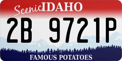 ID license plate 2B9721P