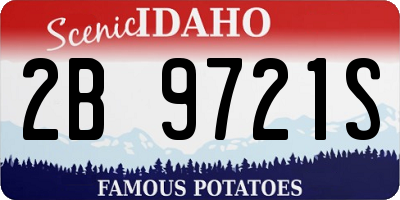 ID license plate 2B9721S