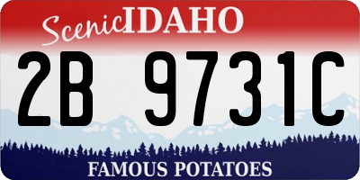 ID license plate 2B9731C