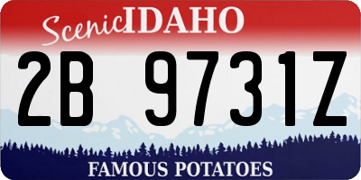 ID license plate 2B9731Z