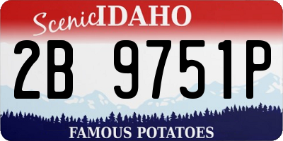ID license plate 2B9751P