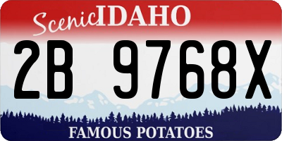 ID license plate 2B9768X
