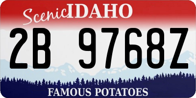 ID license plate 2B9768Z