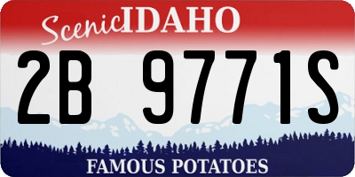 ID license plate 2B9771S