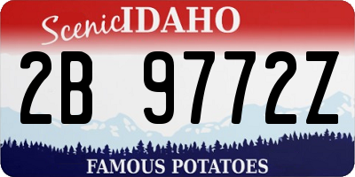 ID license plate 2B9772Z