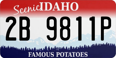ID license plate 2B9811P
