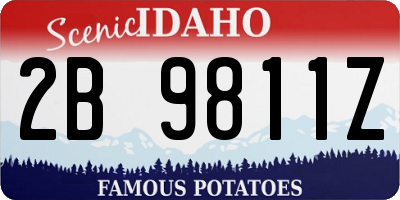 ID license plate 2B9811Z
