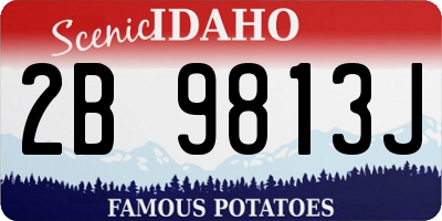 ID license plate 2B9813J