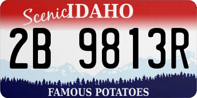 ID license plate 2B9813R