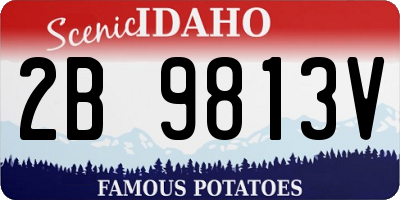 ID license plate 2B9813V