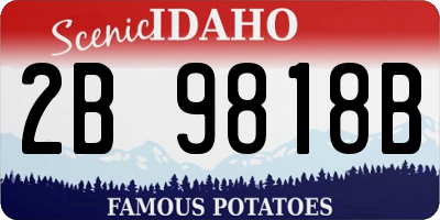 ID license plate 2B9818B