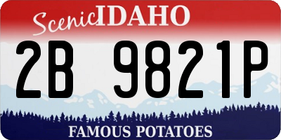 ID license plate 2B9821P