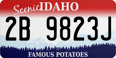 ID license plate 2B9823J