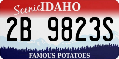 ID license plate 2B9823S