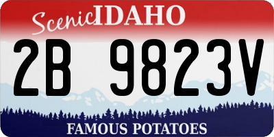 ID license plate 2B9823V