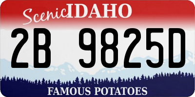 ID license plate 2B9825D