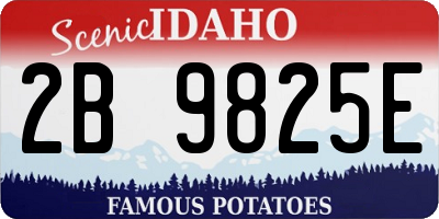 ID license plate 2B9825E