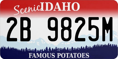 ID license plate 2B9825M