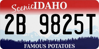 ID license plate 2B9825T