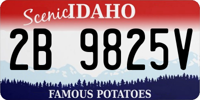ID license plate 2B9825V
