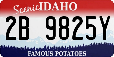 ID license plate 2B9825Y