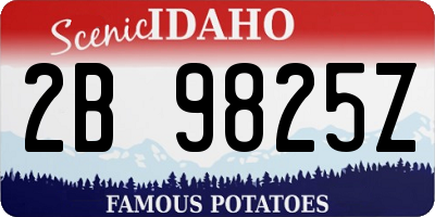 ID license plate 2B9825Z
