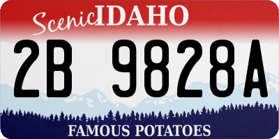 ID license plate 2B9828A