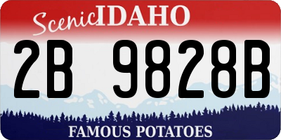 ID license plate 2B9828B