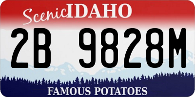 ID license plate 2B9828M