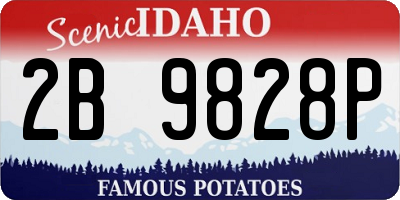 ID license plate 2B9828P